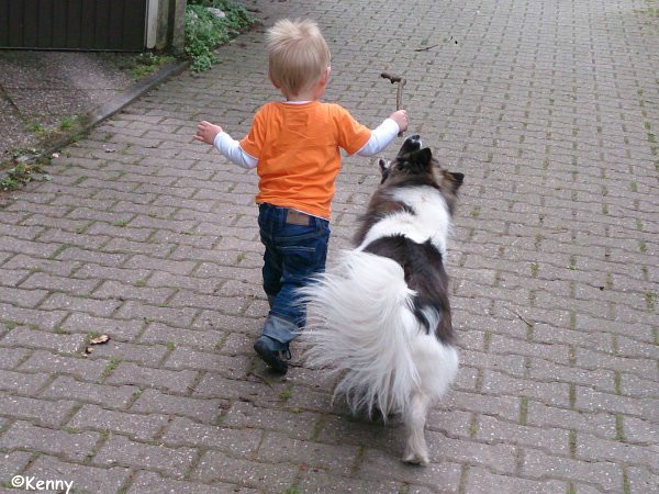 Canilo Familenhund Kenny und Kleinkind Tommi spielen gemeinsam Stöckchen