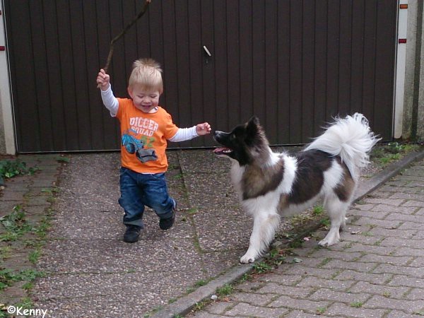 Canilo Familenhund Kenny und Kleinkind Tommi spielen zusammen